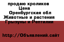 продаю кроликов  › Цена ­ 400 - Оренбургская обл. Животные и растения » Грызуны и Рептилии   